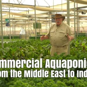 Biggest Commercial Aquaponics Farms in Oman and India!