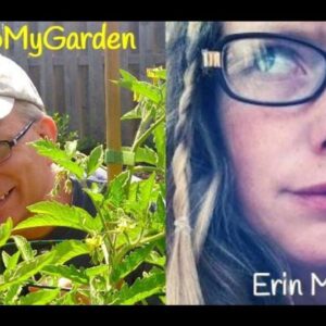 BTMG 017: What Does Your Garden Say About You with Erin Meier