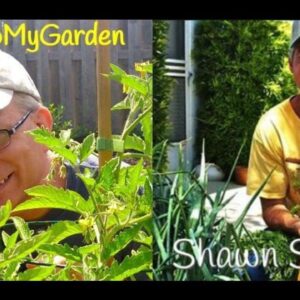 BTMG 055: Growing Organic Gardens with Shawn Studer