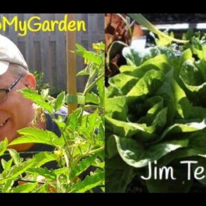 BTMG 056: Discover The Wealthy Earth with Jim Teahan