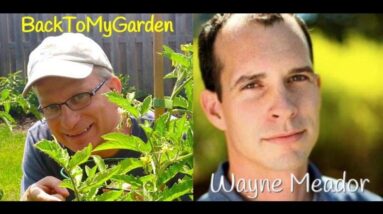 BTMG 059: Leading A World For Change with Wayne Meador