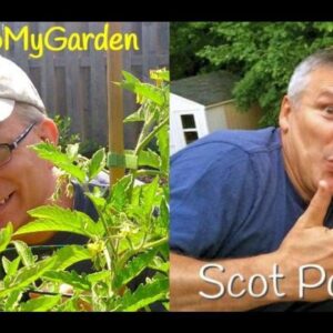 BTMG 064: You Just Gotta Grow It with Scot Poirier