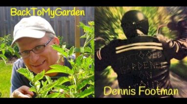 BTMG 068: The Head Gardener at Trinity College with Dennis Footman