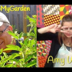 BTMG 070: Embracing Chaos in the Garden with Amy Willis