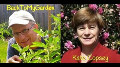 BTMG 072: The Neighborhood Herb Lady with Kate Copsey