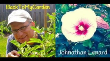 BTMG 074: Gardening With The Stars with Johnathan Lenard