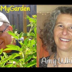 BTMG 094: Endless Possibilities for Garden Design with Amy Whitworth