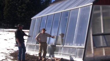 Can You Do Aquaponics in Extreme Climates?