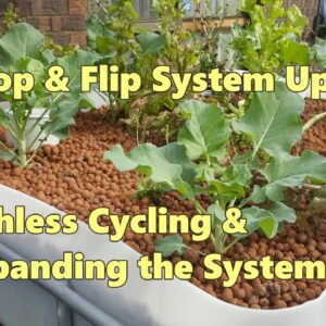 Chop & Flip DIY Aquaponic Update. Fishless Cycling & Expanding the System