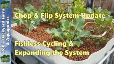 Chop & Flip DIY Aquaponic Update. Fishless Cycling & Expanding the System