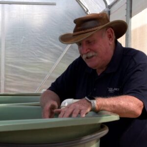 Commissioning a new Aquaponics system