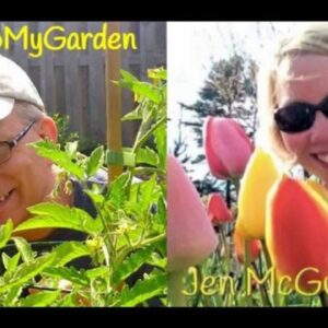 Cooking In The Garden with Jen McGuinness