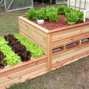 Design Your Own Aquaponics System