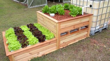 Design Your Own Aquaponics System