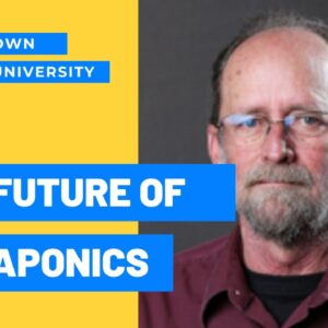 Dr. Paul Brown on the Future of Aquaponics, Aquaculture, and Fish Feed