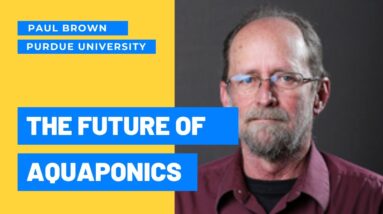 Dr. Paul Brown on the Future of Aquaponics, Aquaculture, and Fish Feed