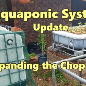 Expanding a Chop & Flip Aquaponic System - My Parents System