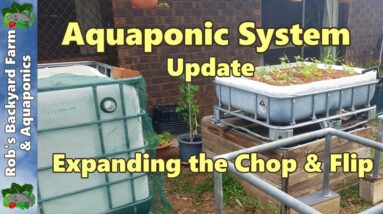 Expanding a Chop & Flip Aquaponic System - My Parents System