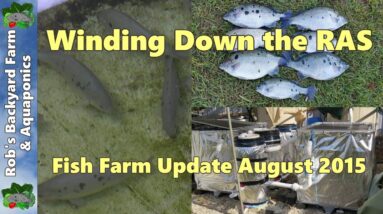 Fish farm update. Winding down the system. August 2015