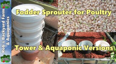 Fodder sprouter for chickens & poultry.. Tower & aquaponic versions..