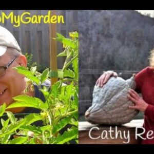 Four Season Urban Gardening with Cathy Rehmeyer