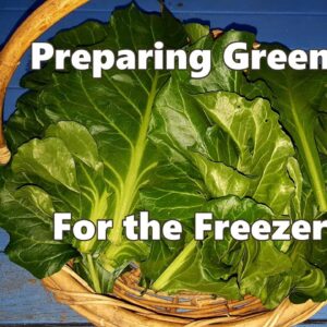 Freezing Greens & a Closer look at the Perpetual Spinach