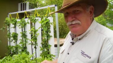 From Home to Commercial Aquaponics