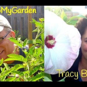 Gardeners Have Short Memories and Long Pencils with Tracy Blevins