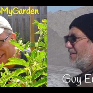 Gardening In A War Zone with Guy Ewald