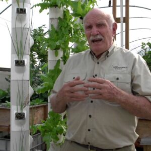 Growing Marijuana in Aquaponics