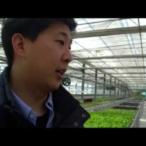 How Profitable is Aquaponics