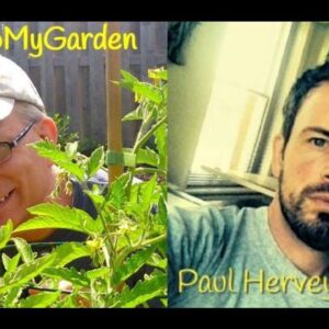 How To Build Brilliant Gardens with Paul Hervey-Brookes