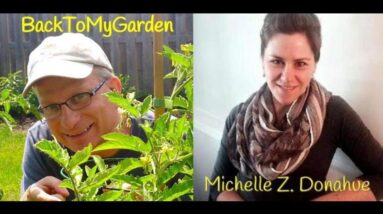 How To Create Magic In The Garden with Michelle Donahue