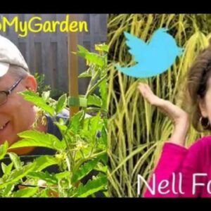 How To Keep Your Plants Happy with Nell Foster