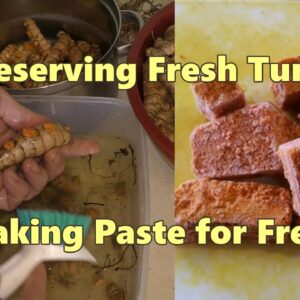 How to Preserve Fresh Turmeric.  Turmeric Paste for the Freezer.