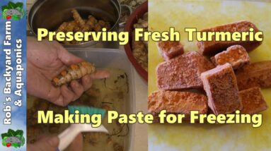 How to Preserve Fresh Turmeric.  Turmeric Paste for the Freezer.