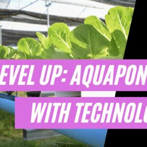 Unlocking Potential in Aquaponic Data with Sensors, Water Test Kits, and Tracking Everything