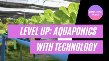 Unlocking Potential in Aquaponic Data with Sensors, Water Test Kits, and Tracking Everything