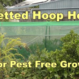 Insect Netting Hoop House For Fruit Fly & Cabbage Butterflies