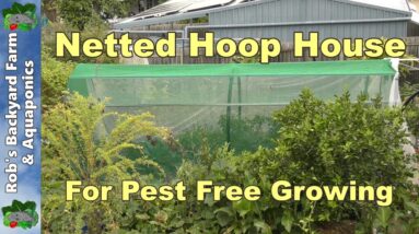 Insect Netting Hoop House For Fruit Fly & Cabbage Butterflies