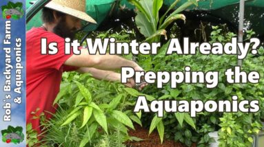 Is it Winter Already? Prepping for Cool Weather in the Aquaponics