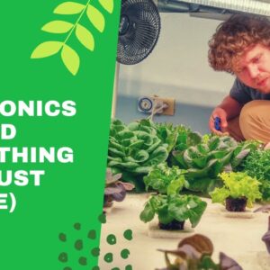 Joe Pate Wants To Feed ALL of Nature (Not Just People) With Aquaponics