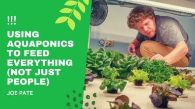 Joe Pate Wants To Feed ALL of Nature (Not Just People) With Aquaponics