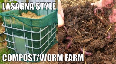 Lasagna Style Compost/Worm Farm