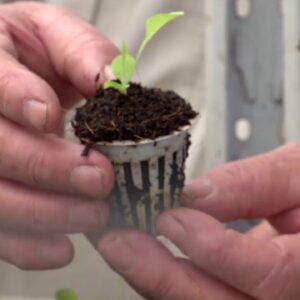 Learn Aquaponics Course Starts 1st July 2018