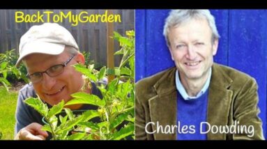 Loving Salad Growing Salad with Charles Dowding