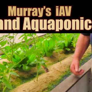 Murray's iAV Sand Aquaponics System