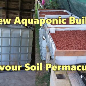 New Aquaponic system build at Savour Soil Permaculture.