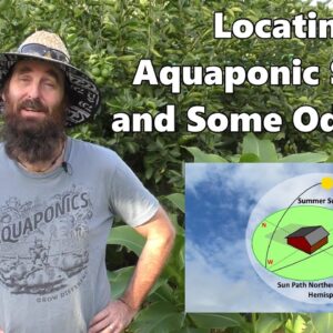 Positioning Your Aquaponic System 🐟 Solar Orientation and Odd Jobs