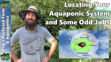 Positioning Your Aquaponic System 🐟 Solar Orientation and Odd Jobs